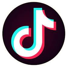TikTok Logo